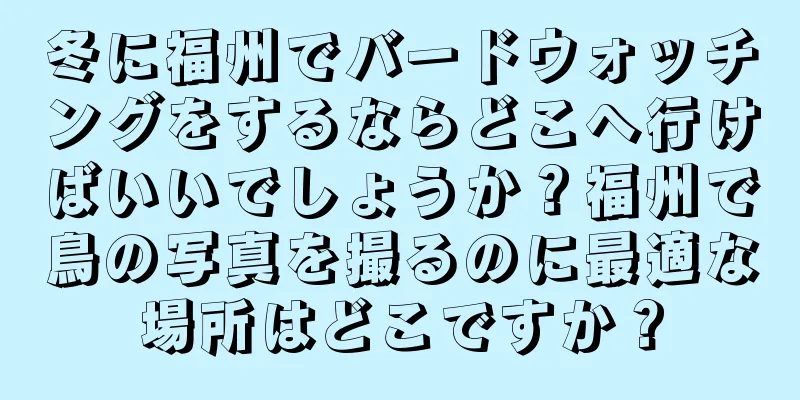 冬に福州でバードウォッチングをするならどこへ行けばいいでしょうか？福州で鳥の写真を撮るのに最適な場所はどこですか？