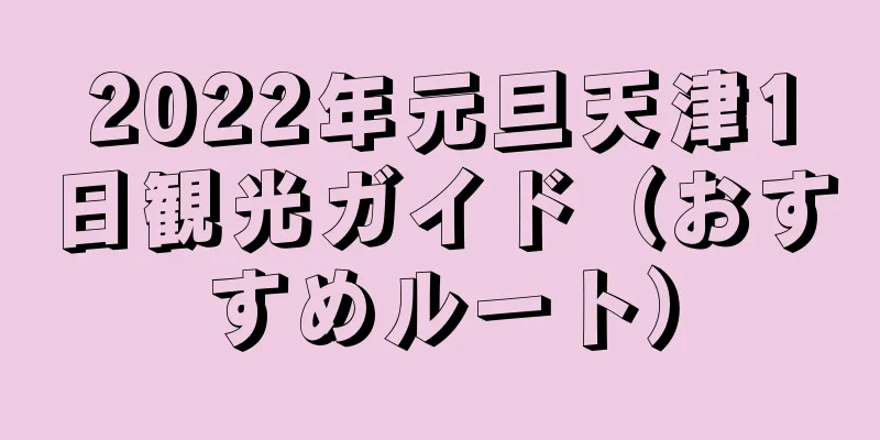 2022年元旦天津1日観光ガイド（おすすめルート）