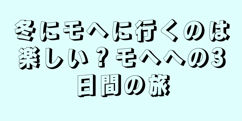 冬にモヘに行くのは楽しい？モヘへの3日間の旅