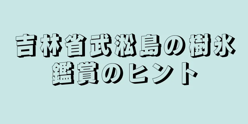 吉林省武淞島の樹氷鑑賞のヒント