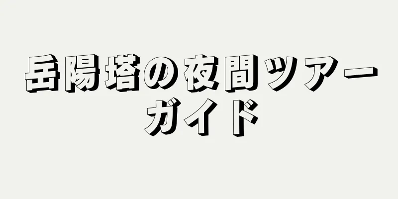 岳陽塔の夜間ツアーガイド