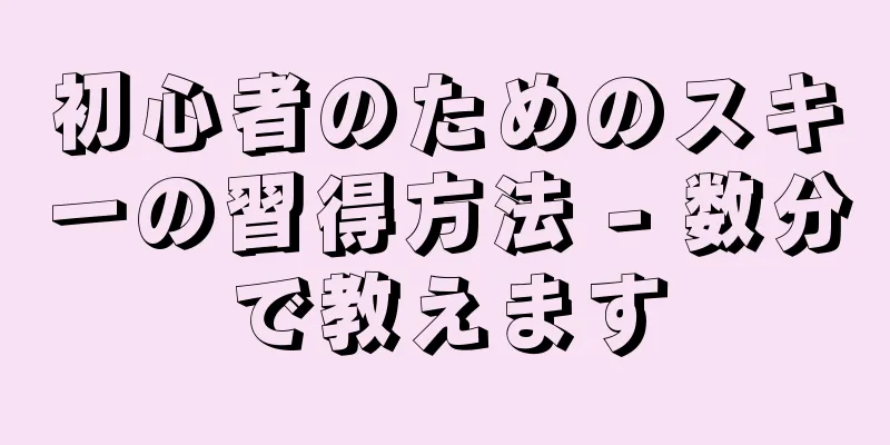 初心者のためのスキーの習得方法 - 数分で教えます