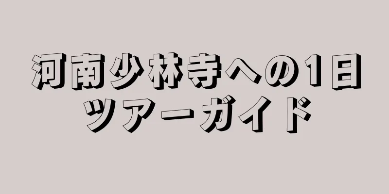 河南少林寺への1日ツアーガイド