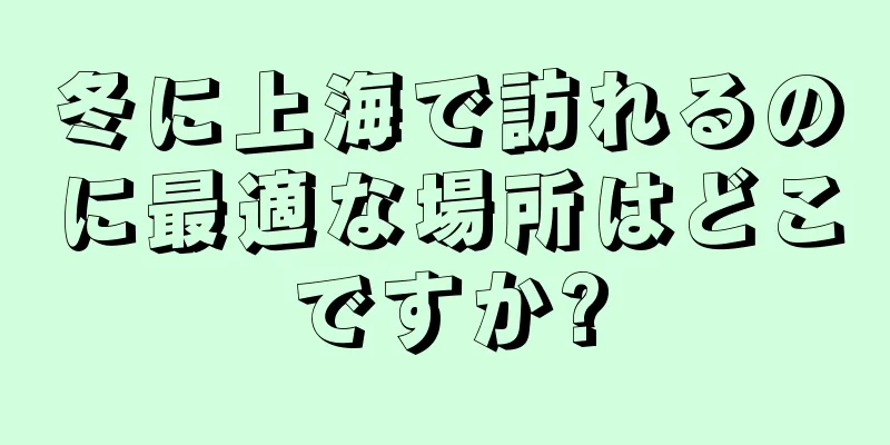 冬に上海で訪れるのに最適な場所はどこですか?