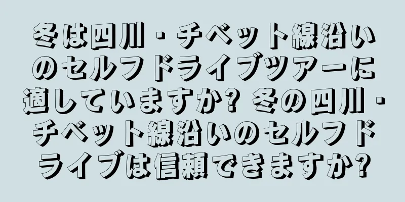 冬は四川・チベット線沿いのセルフドライブツアーに適していますか? 冬の四川・チベット線沿いのセルフドライブは信頼できますか?