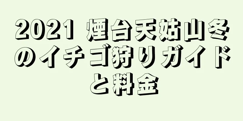 2021 煙台天姑山冬のイチゴ狩りガイドと料金
