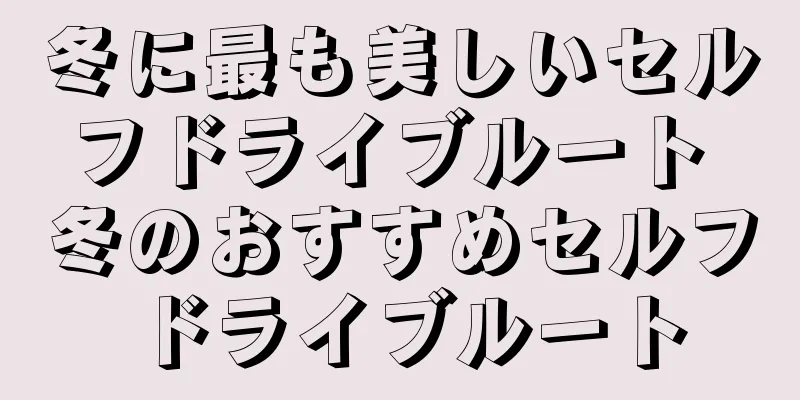 冬に最も美しいセルフドライブルート 冬のおすすめセルフドライブルート