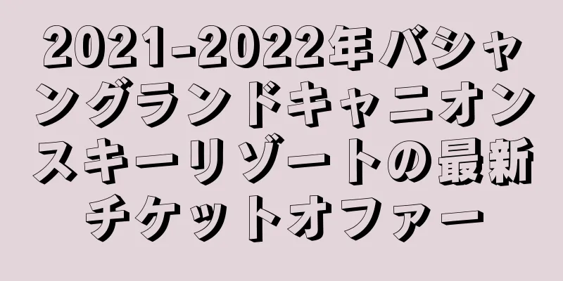 2021-2022年バシャングランドキャニオンスキーリゾートの最新チケットオファー