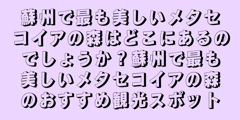 蘇州で最も美しいメタセコイアの森はどこにあるのでしょうか？蘇州で最も美しいメタセコイアの森のおすすめ観光スポット