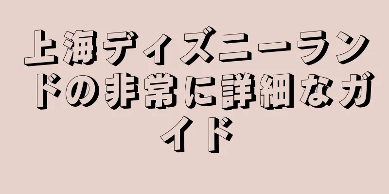 上海ディズニーランドの非常に詳細なガイド