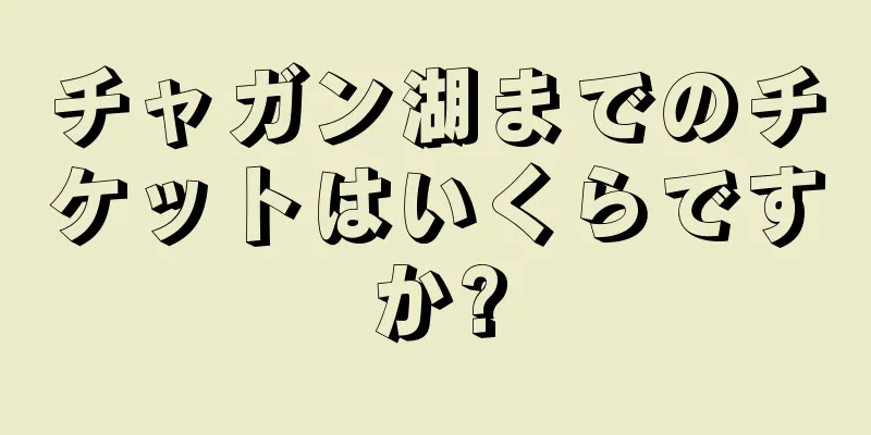 チャガン湖までのチケットはいくらですか?