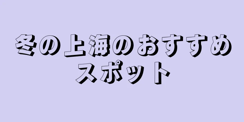 冬の上海のおすすめスポット