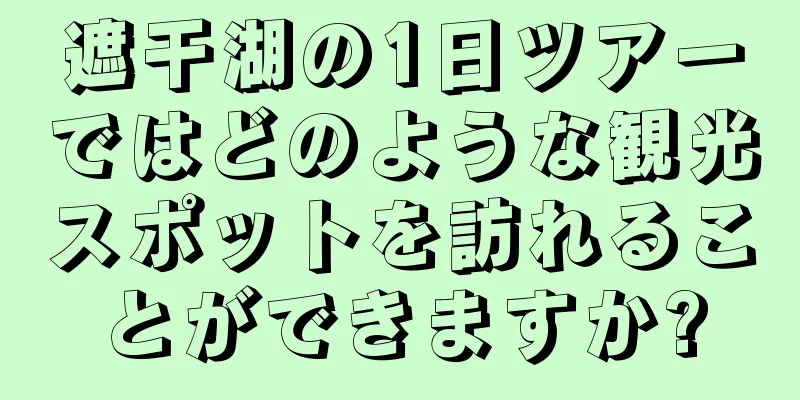 遮干湖の1日ツアーではどのような観光スポットを訪れることができますか?