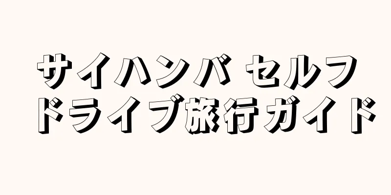 サイハンバ セルフドライブ旅行ガイド