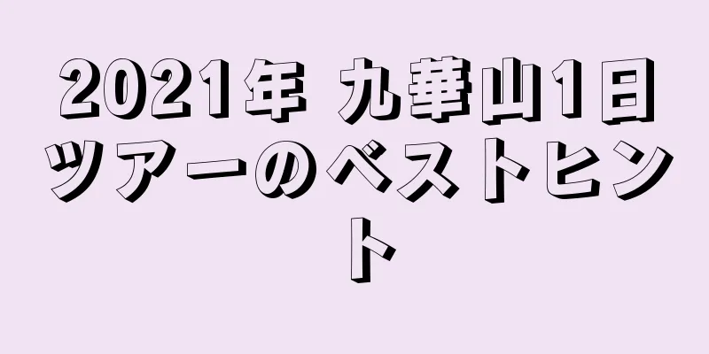 2021年 九華山1日ツアーのベストヒント
