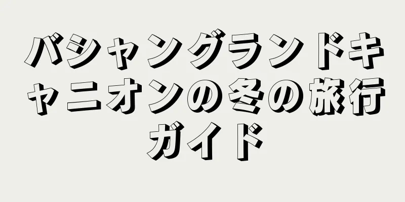 バシャングランドキャニオンの冬の旅行ガイド