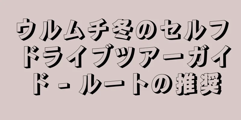 ウルムチ冬のセルフドライブツアーガイド - ルートの推奨