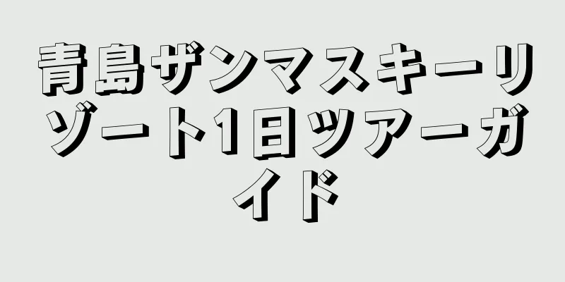 青島ザンマスキーリゾート1日ツアーガイド