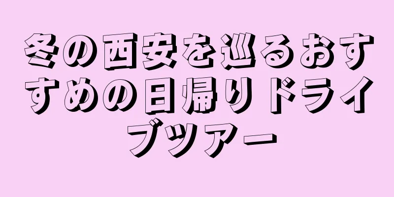 冬の西安を巡るおすすめの日帰りドライブツアー