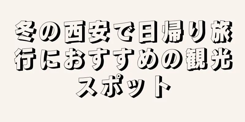 冬の西安で日帰り旅行におすすめの観光スポット