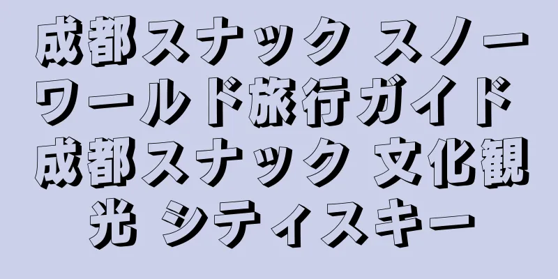 成都スナック スノーワールド旅行ガイド 成都スナック 文化観光 シティスキー