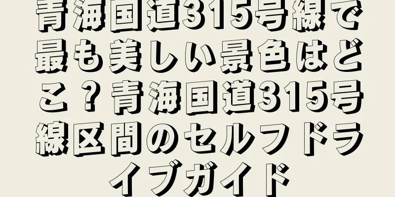 青海国道315号線で最も美しい景色はどこ？青海国道315号線区間のセルフドライブガイド