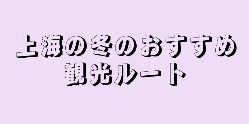 上海の冬のおすすめ観光ルート