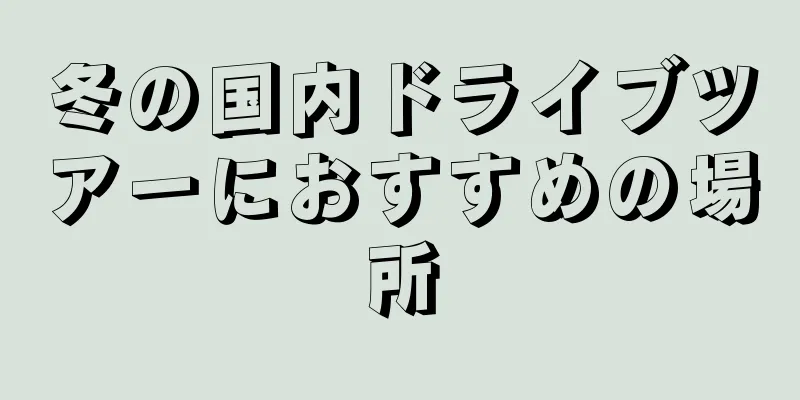 冬の国内ドライブツアーにおすすめの場所