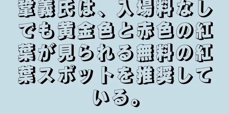 鞏義氏は、入場料なしでも黄金色と赤色の紅葉が見られる無料の紅葉スポットを推奨している。