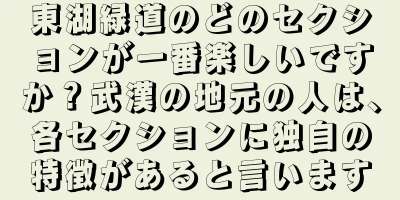 東湖緑道のどのセクションが一番楽しいですか？武漢の地元の人は、各セクションに独自の特徴があると言います