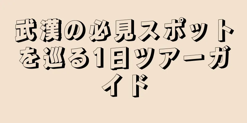 武漢の必見スポットを巡る1日ツアーガイド