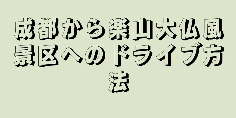 成都から楽山大仏風景区へのドライブ方法