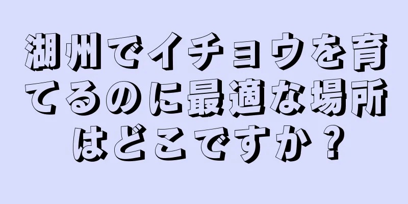 湖州でイチョウを育てるのに最適な場所はどこですか？