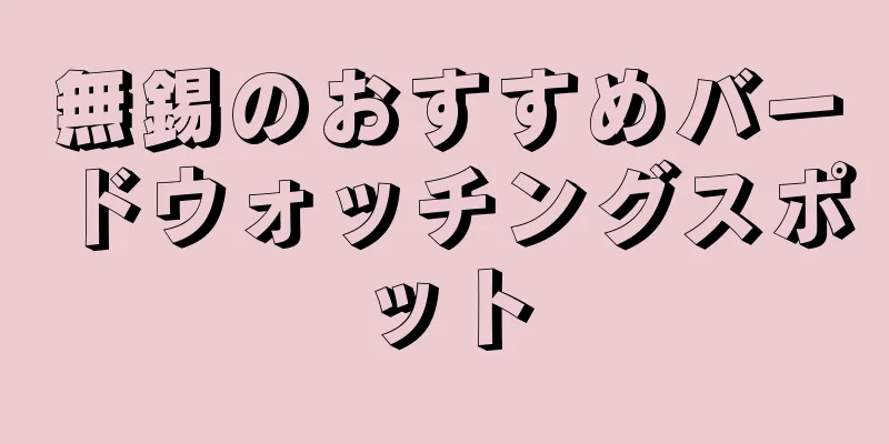 無錫のおすすめバードウォッチングスポット