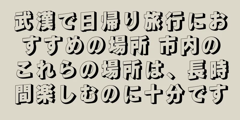 武漢で日帰り旅行におすすめの場所 市内のこれらの場所は、長時間楽しむのに十分です