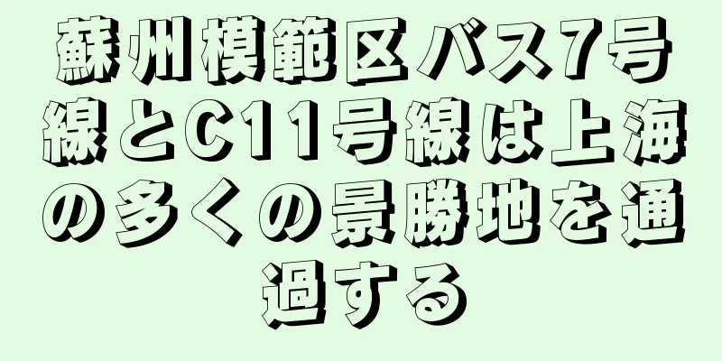 蘇州模範区バス7号線とC11号線は上海の多くの景勝地を通過する