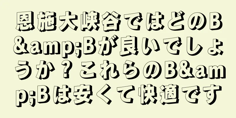 恩施大峡谷ではどのB&Bが良いでしょうか？これらのB&Bは安くて快適です