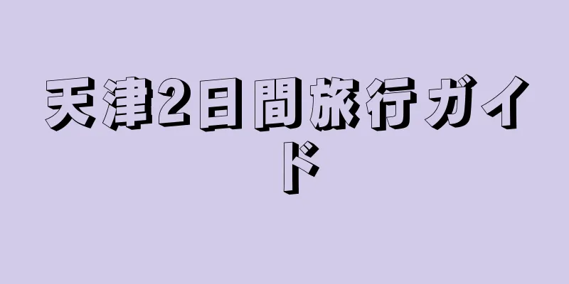 天津2日間旅行ガイド