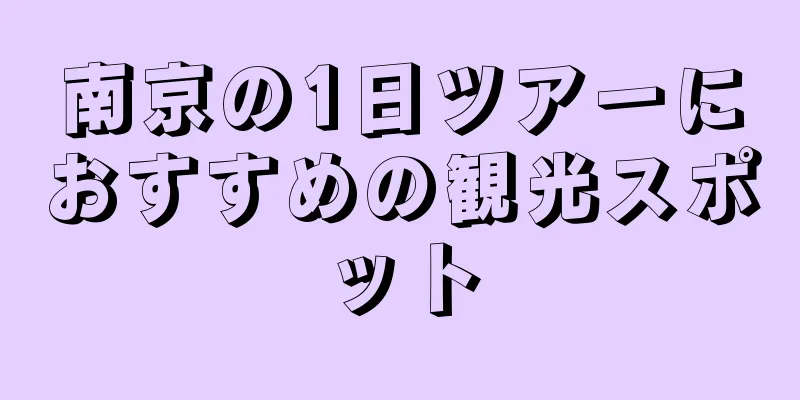 南京の1日ツアーにおすすめの観光スポット