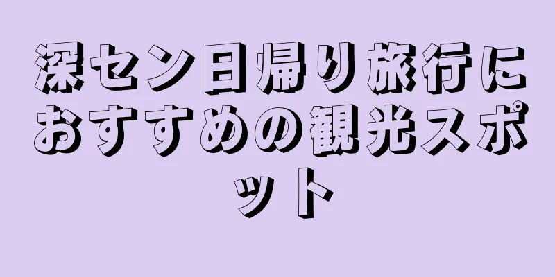 深セン日帰り旅行におすすめの観光スポット