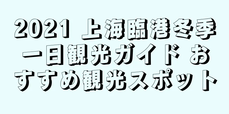2021 上海臨港冬季一日観光ガイド おすすめ観光スポット