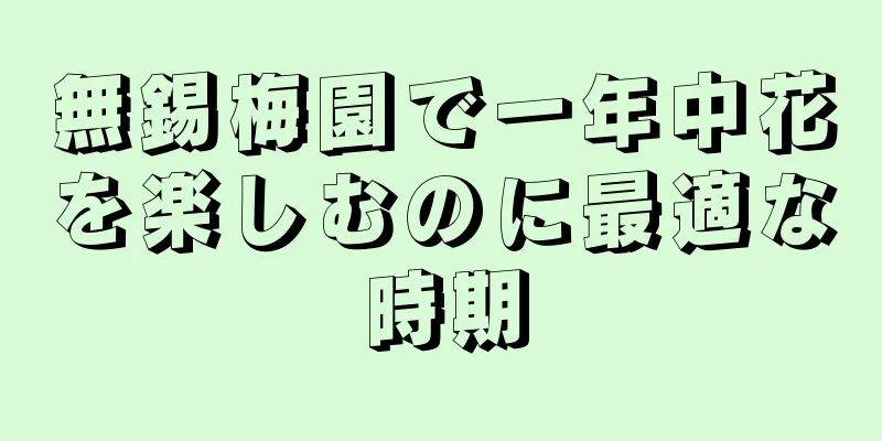 無錫梅園で一年中花を楽しむのに最適な時期