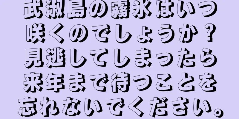 武淑島の霧氷はいつ咲くのでしょうか？見逃してしまったら来年まで待つことを忘れないでください。