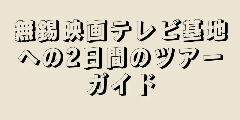 無錫映画テレビ基地への2日間のツアーガイド