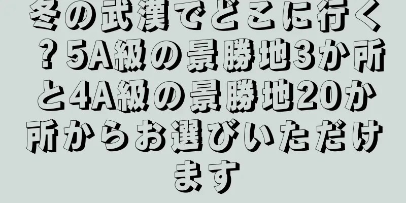 冬の武漢でどこに行く？5A級の景勝地3か所と4A級の景勝地20か所からお選びいただけます