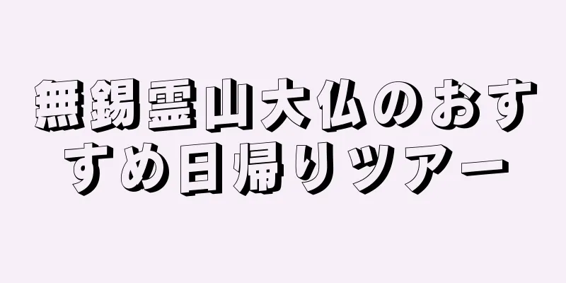 無錫霊山大仏のおすすめ日帰りツアー