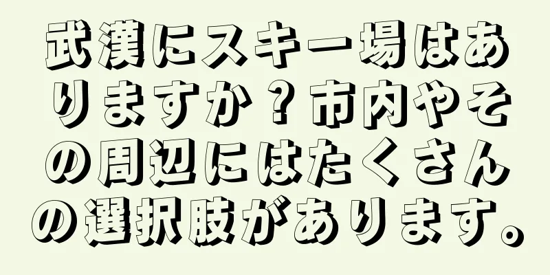 武漢にスキー場はありますか？市内やその周辺にはたくさんの選択肢があります。