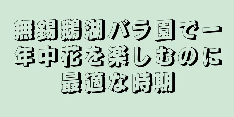 無錫鵝湖バラ園で一年中花を楽しむのに最適な時期