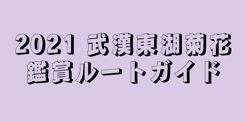2021 武漢東湖菊花鑑賞ルートガイド