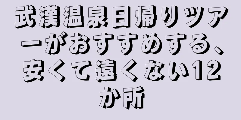 武漢温泉日帰りツアーがおすすめする、安くて遠くない12か所